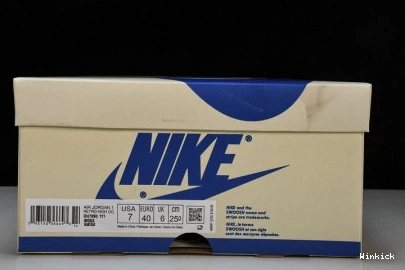 1 DH7890-111 Jordan OG Low  Air 1012
